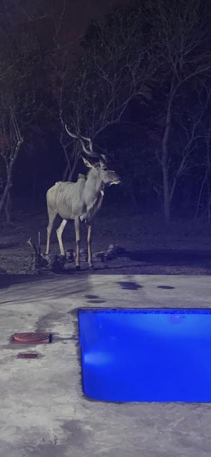 Wild Goose Otel Marloth Park Dış mekan fotoğraf