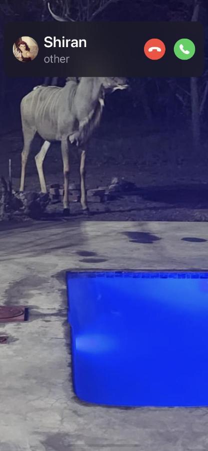 Wild Goose Otel Marloth Park Dış mekan fotoğraf